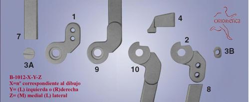 Articulacin B-1012