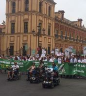 convocatoria manifestacion