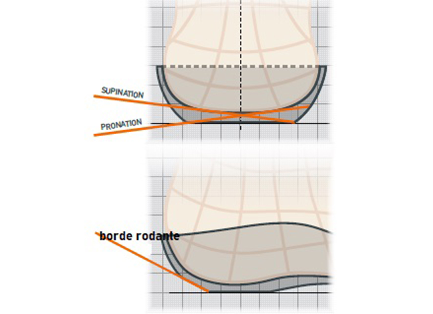 dibujo taln plateau